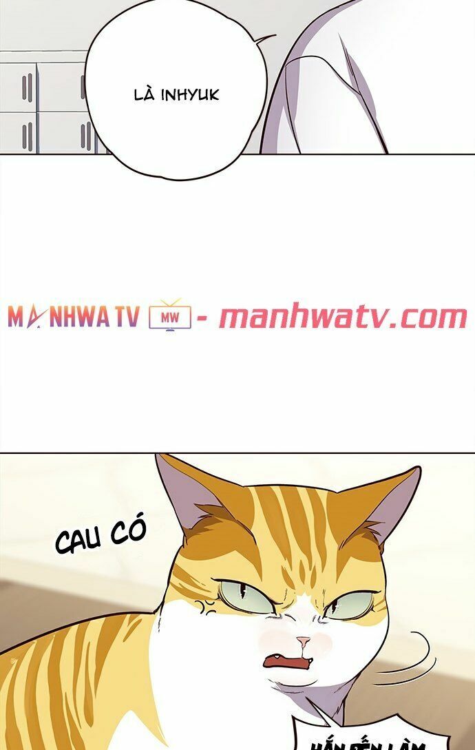 Hoá Thân Thành Mèo: Chapter 22