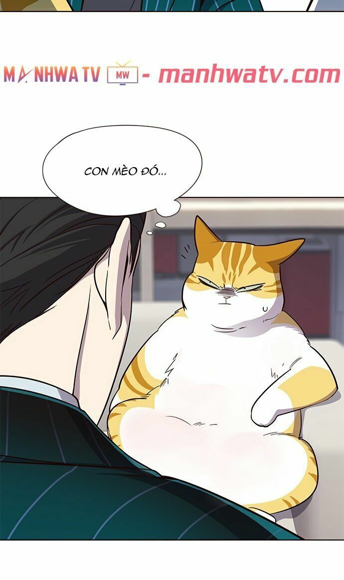 Hoá Thân Thành Mèo: Chapter 22