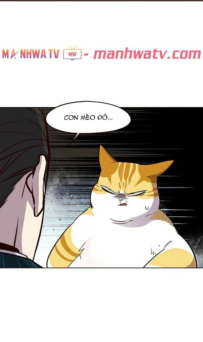 Hoá Thân Thành Mèo: Chapter 22