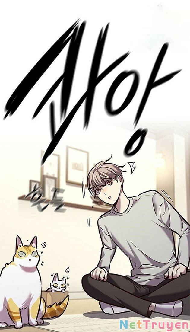Hoá Thân Thành Mèo: Chapter 220