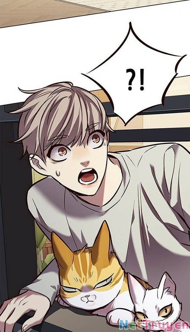Hoá Thân Thành Mèo: Chapter 220