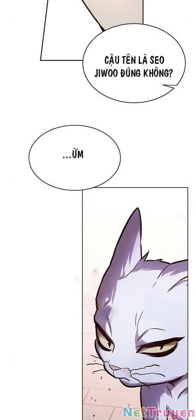 Hoá Thân Thành Mèo: Chapter 220