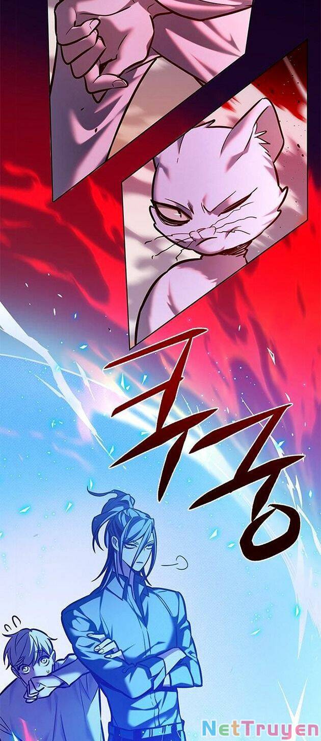 Hoá Thân Thành Mèo: Chapter 221