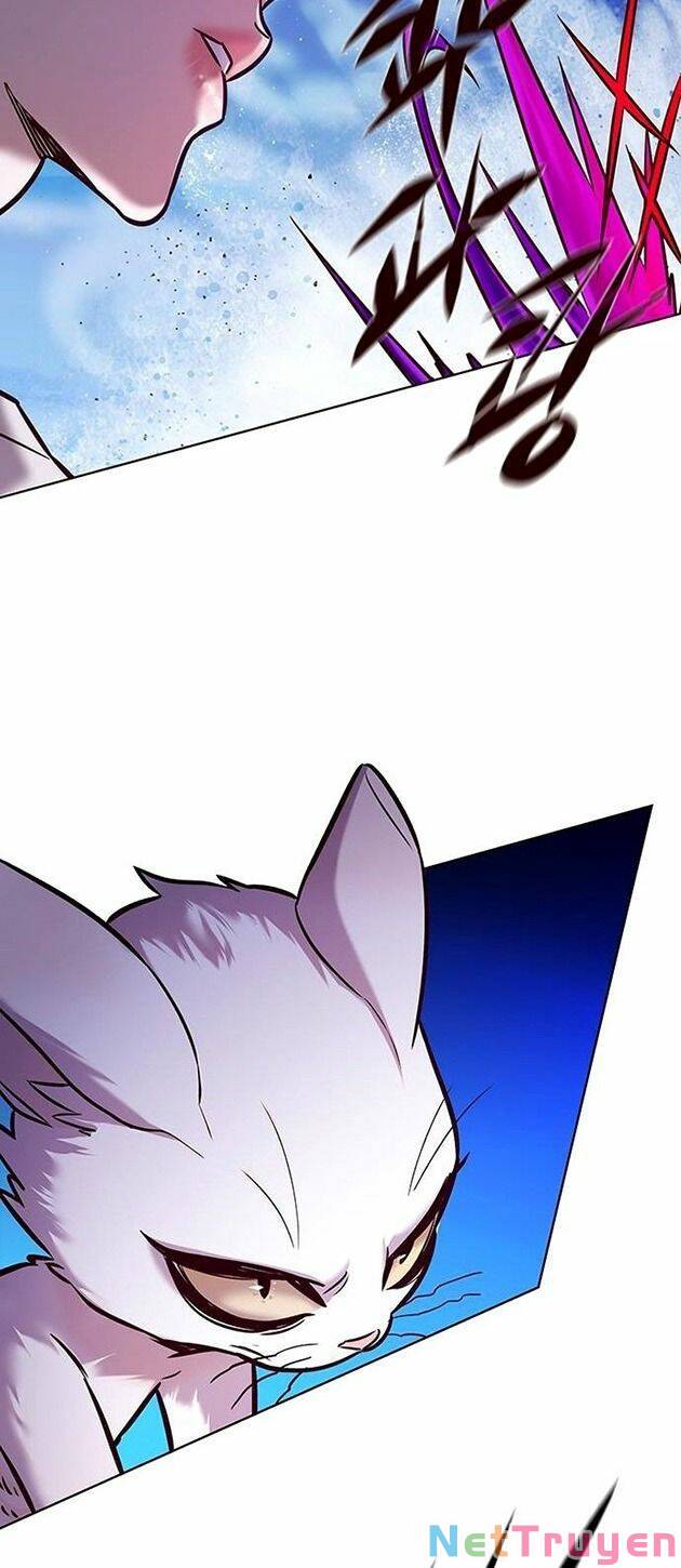 Hoá Thân Thành Mèo: Chapter 221