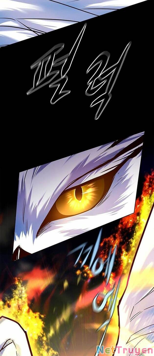 Hoá Thân Thành Mèo: Chapter 221