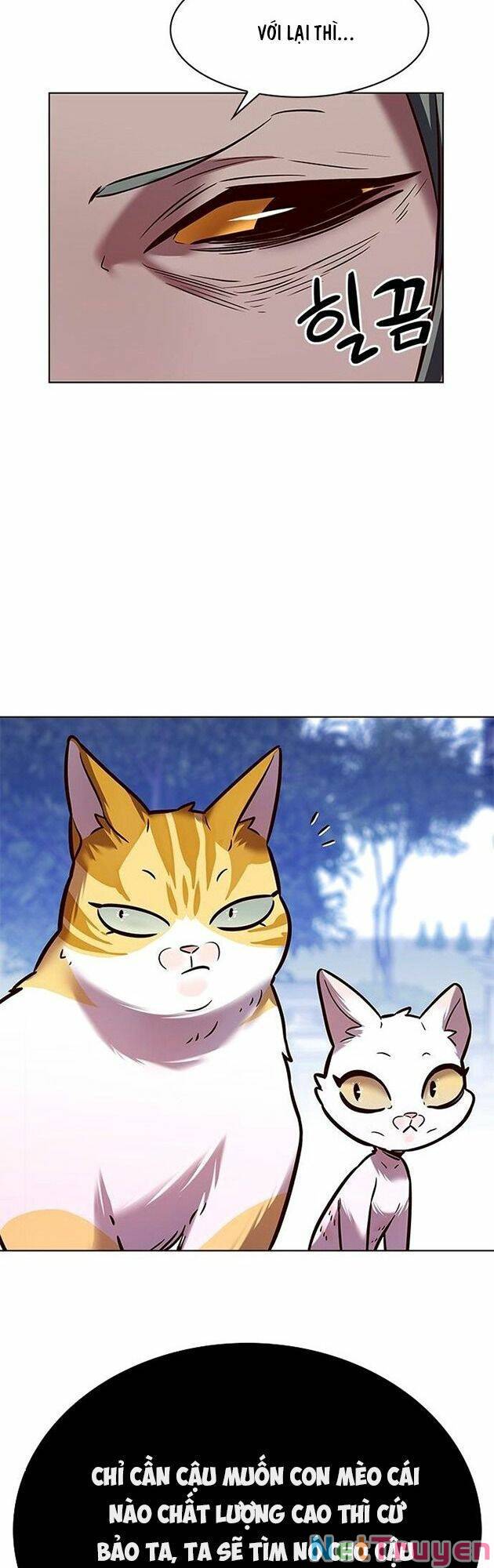 Hoá Thân Thành Mèo: Chapter 222
