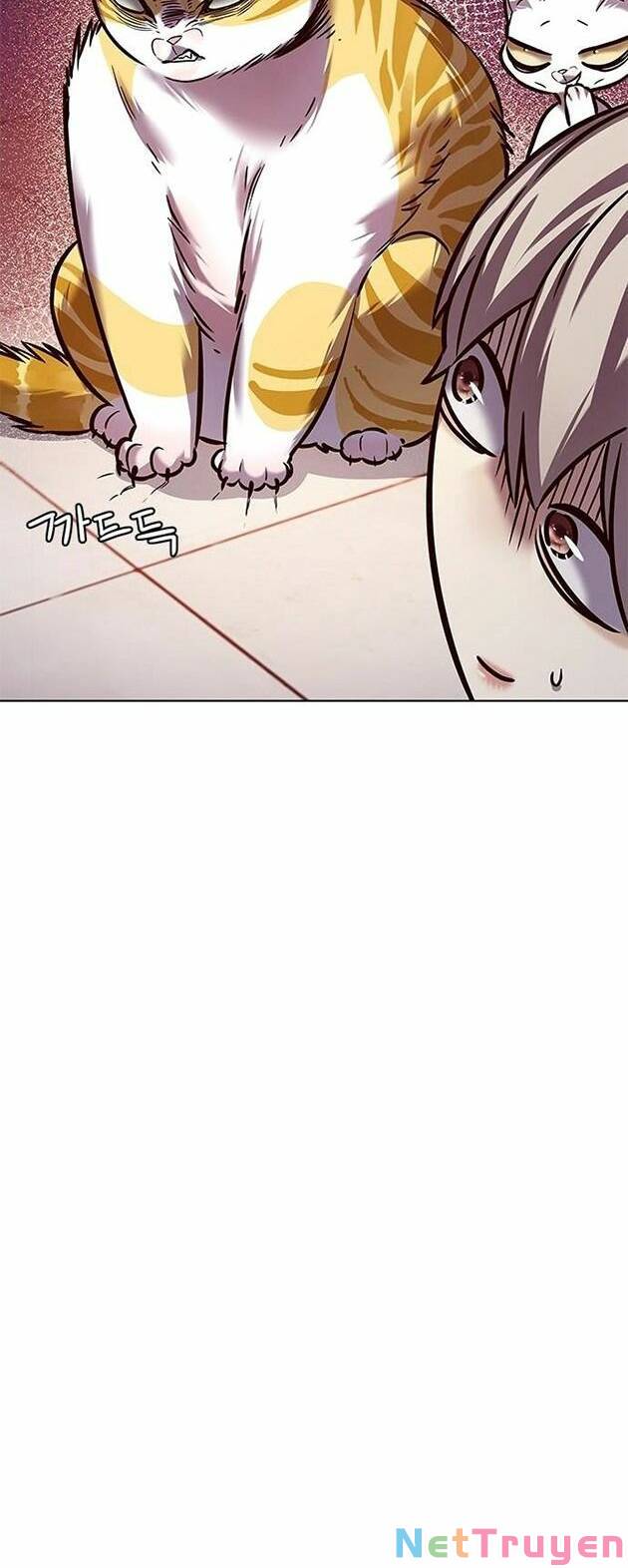 Hoá Thân Thành Mèo: Chapter 222