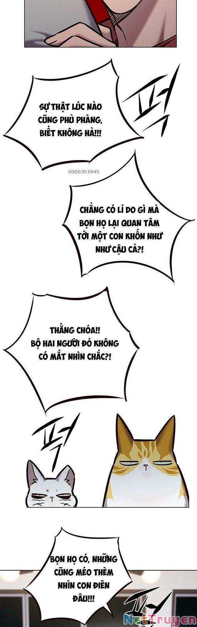 Hoá Thân Thành Mèo: Chapter 223