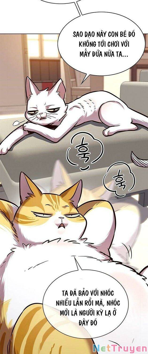Hoá Thân Thành Mèo: Chapter 225