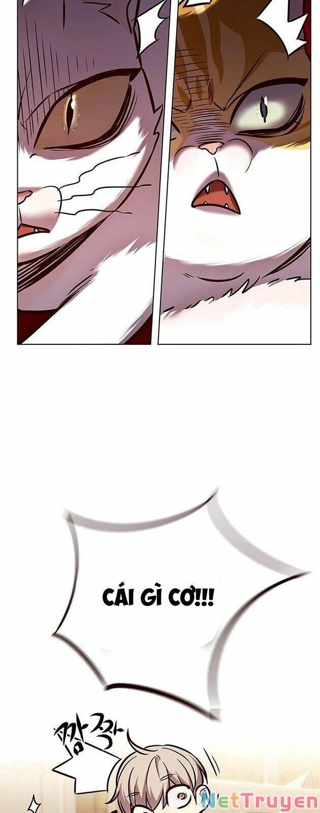 Hoá Thân Thành Mèo: Chapter 225