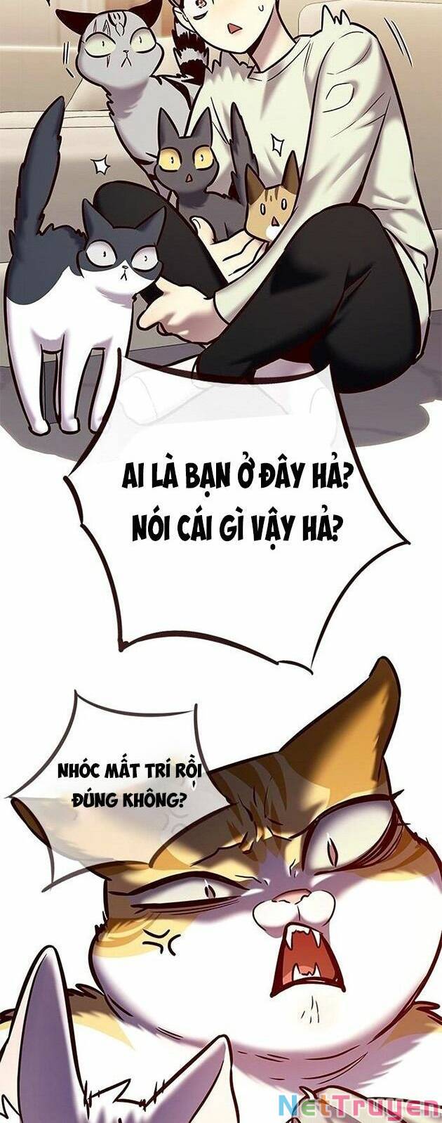 Hoá Thân Thành Mèo: Chapter 225
