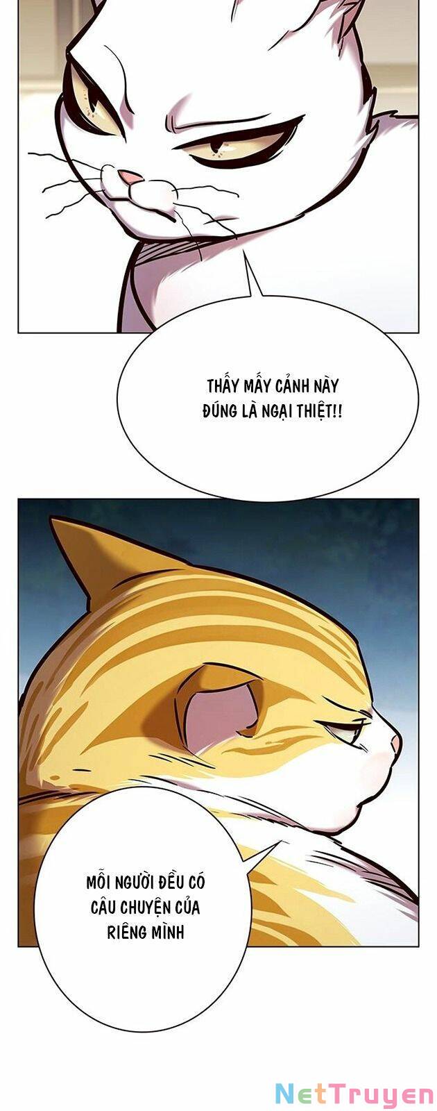 Hoá Thân Thành Mèo: Chapter 227