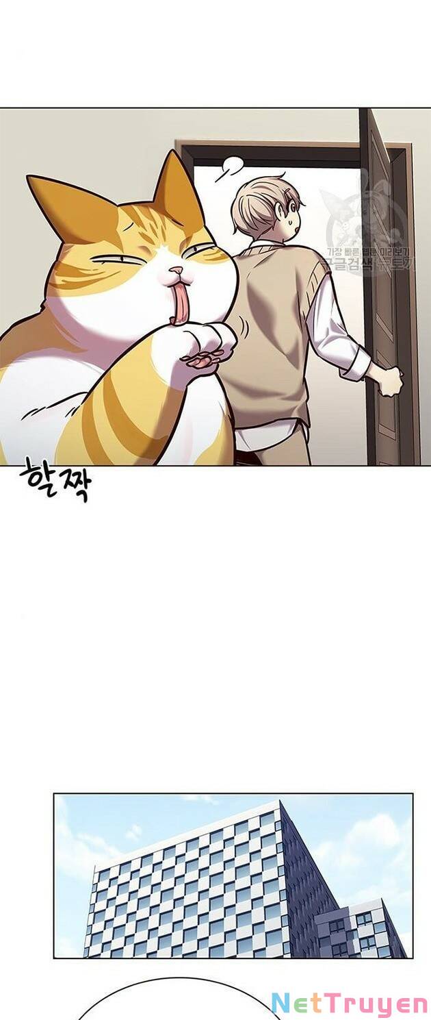 Hoá Thân Thành Mèo: Chapter 228