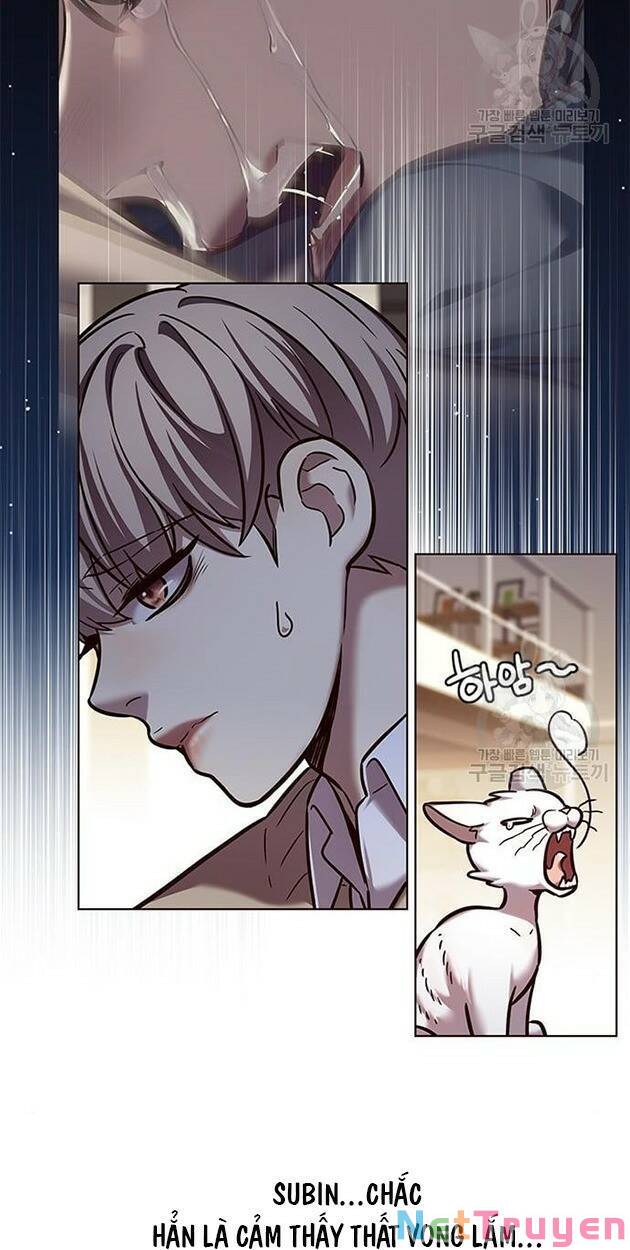 Hoá Thân Thành Mèo: Chapter 228