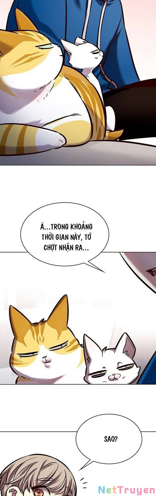 Hoá Thân Thành Mèo: Chapter 229