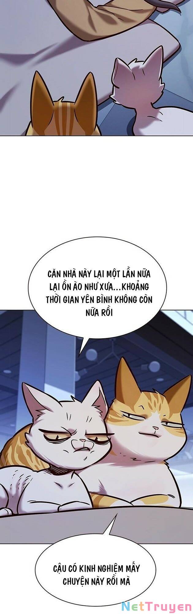 Hoá Thân Thành Mèo: Chapter 229