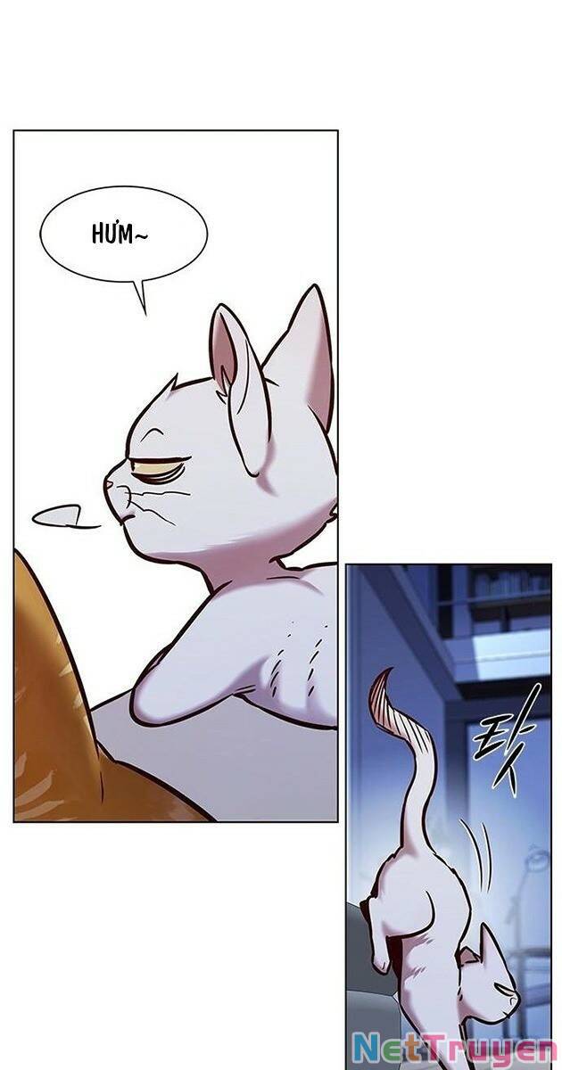 Hoá Thân Thành Mèo: Chapter 229