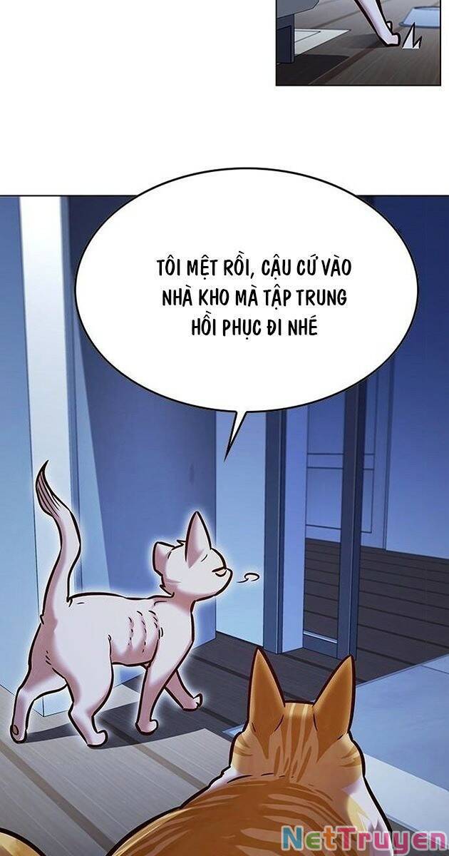 Hoá Thân Thành Mèo: Chapter 229