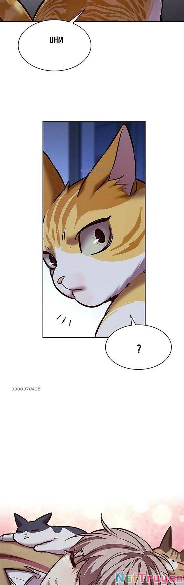 Hoá Thân Thành Mèo: Chapter 229