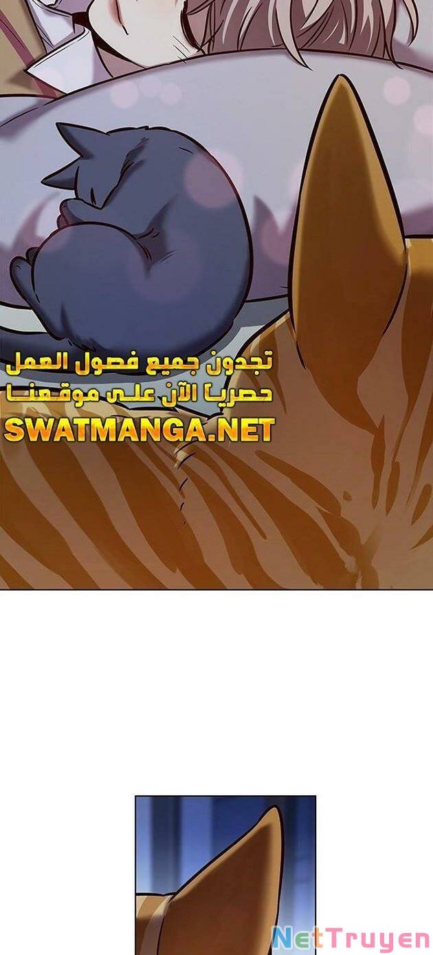Hoá Thân Thành Mèo: Chapter 229