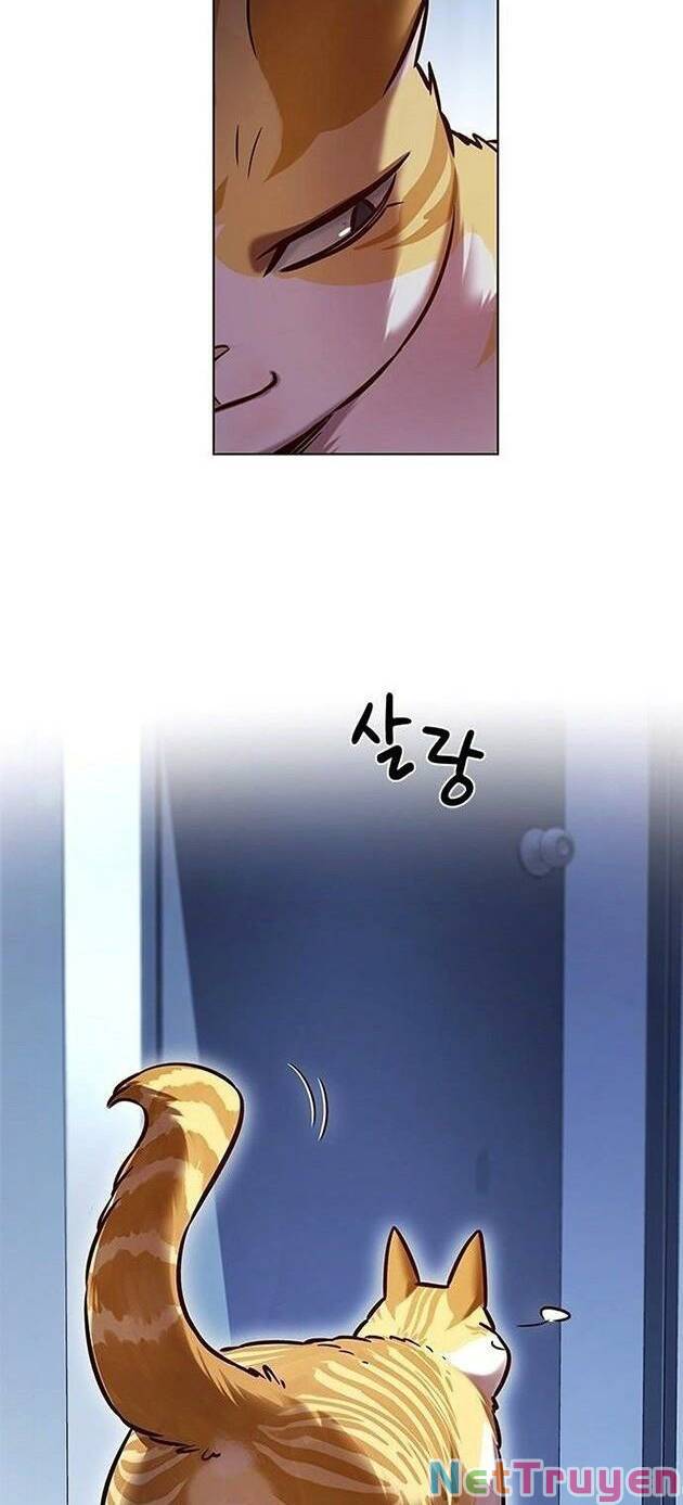 Hoá Thân Thành Mèo: Chapter 229