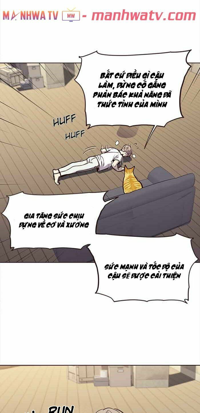 Hoá Thân Thành Mèo: Chapter 23