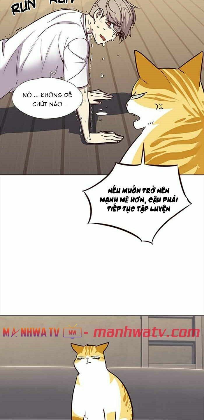 Hoá Thân Thành Mèo: Chapter 23