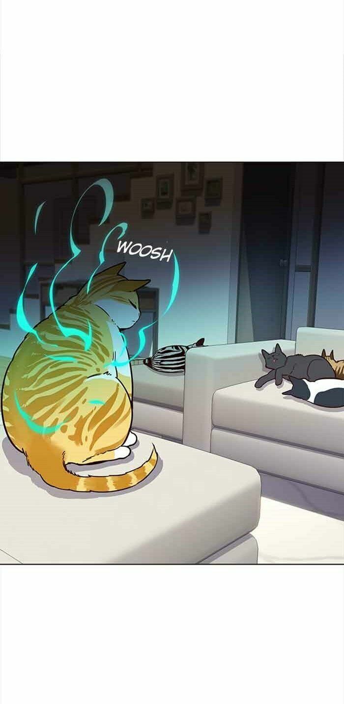Hoá Thân Thành Mèo: Chapter 23