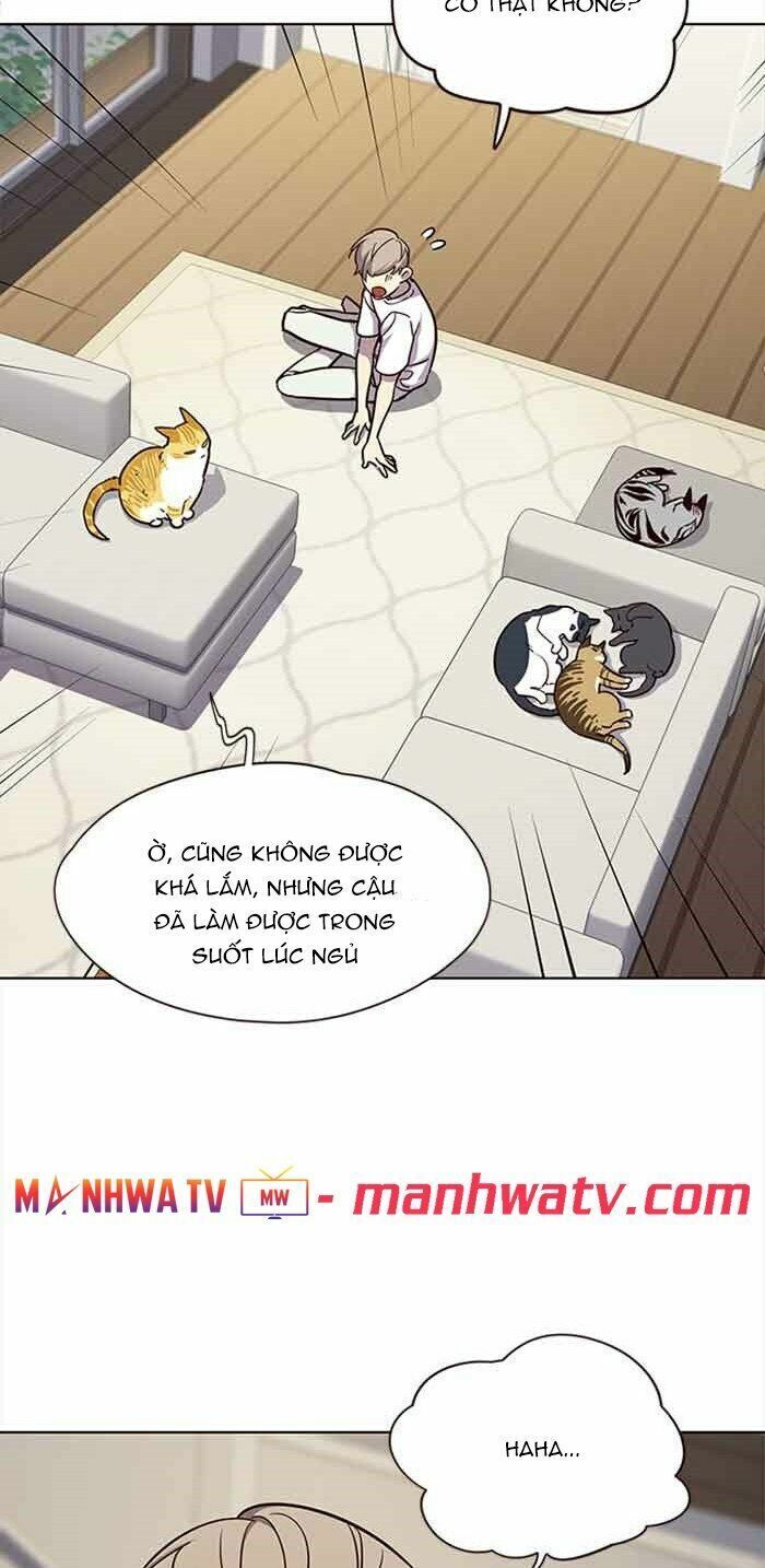 Hoá Thân Thành Mèo: Chapter 23