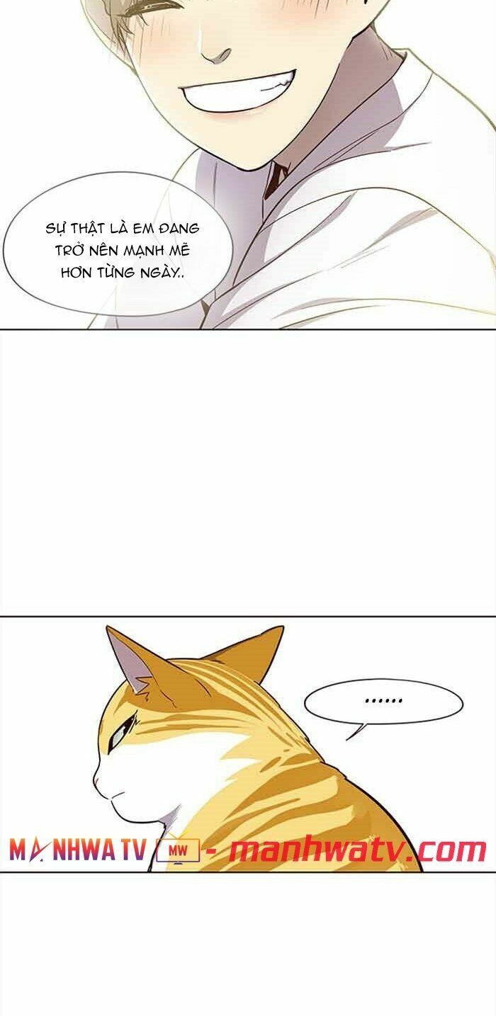 Hoá Thân Thành Mèo: Chapter 23