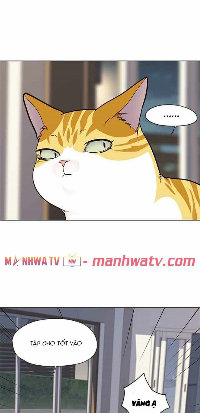 Hoá Thân Thành Mèo: Chapter 23