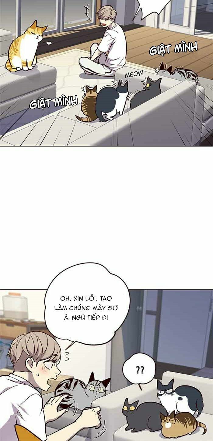 Hoá Thân Thành Mèo: Chapter 23