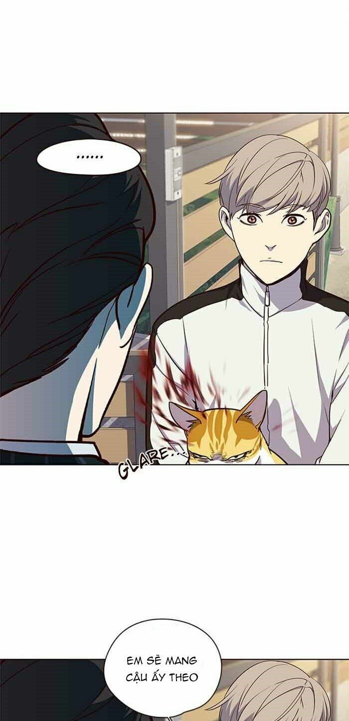 Hoá Thân Thành Mèo: Chapter 23