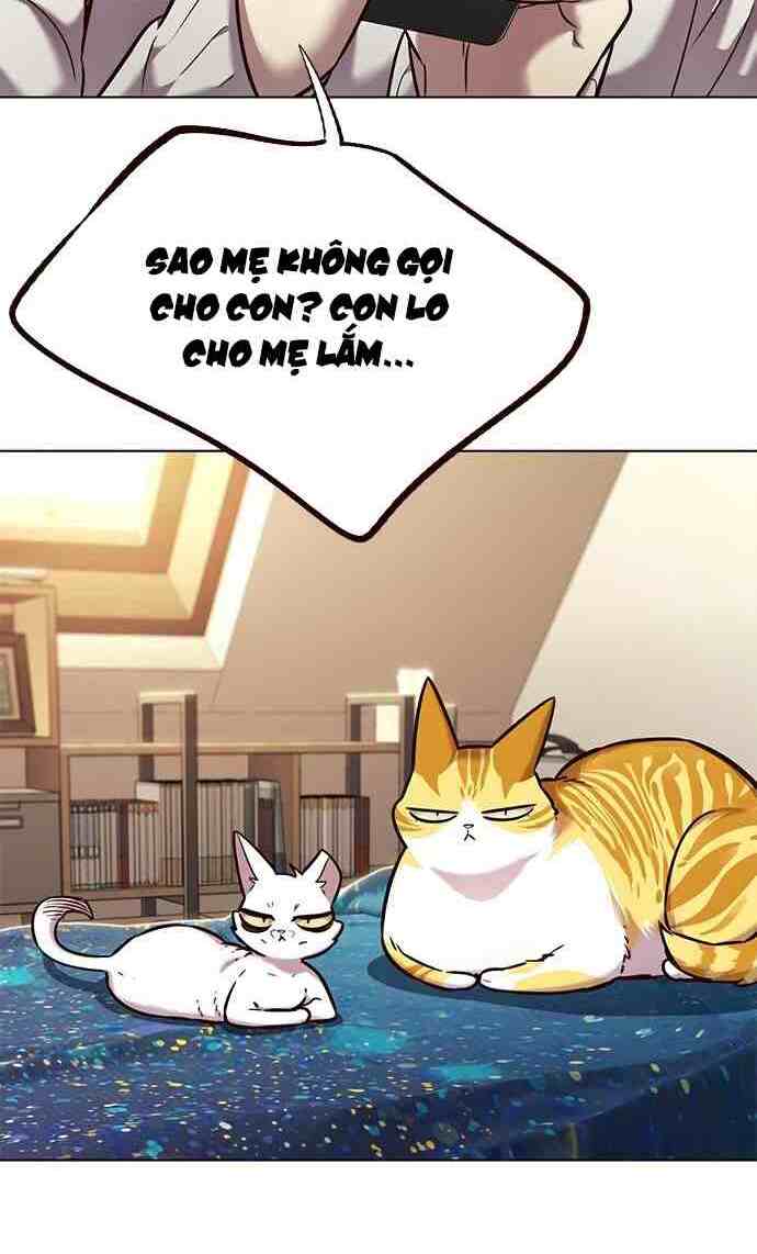 Hoá Thân Thành Mèo: Chapter 231