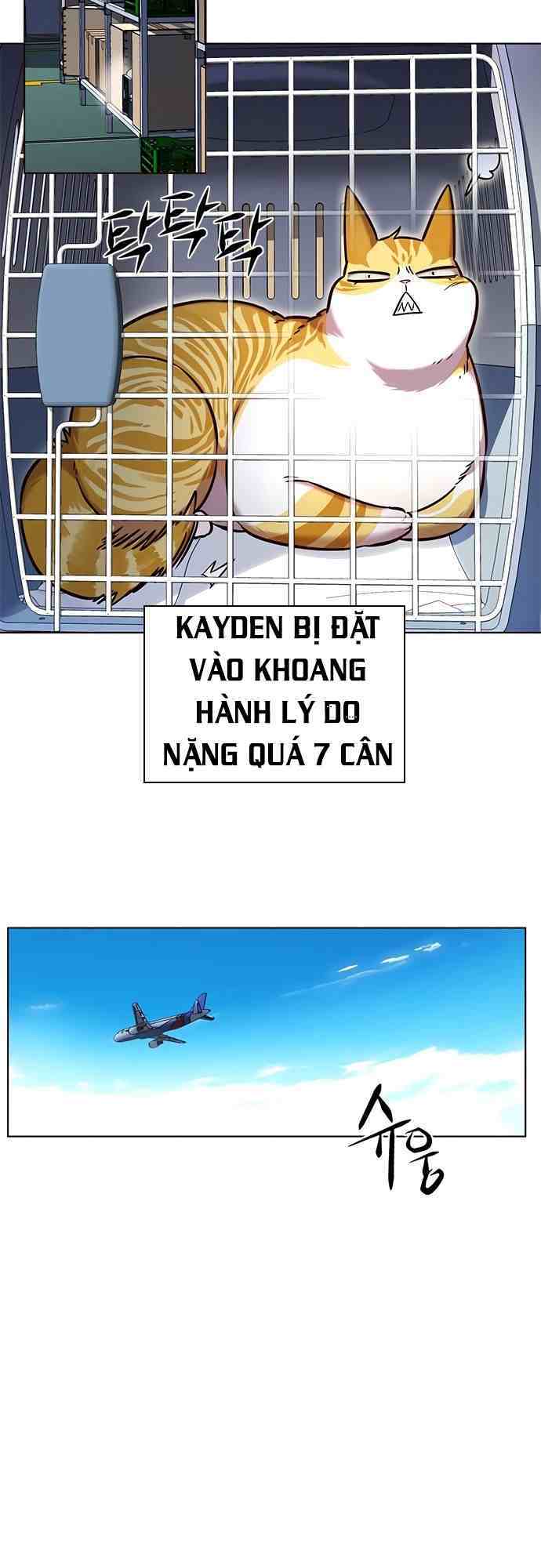 Hoá Thân Thành Mèo: Chapter 231