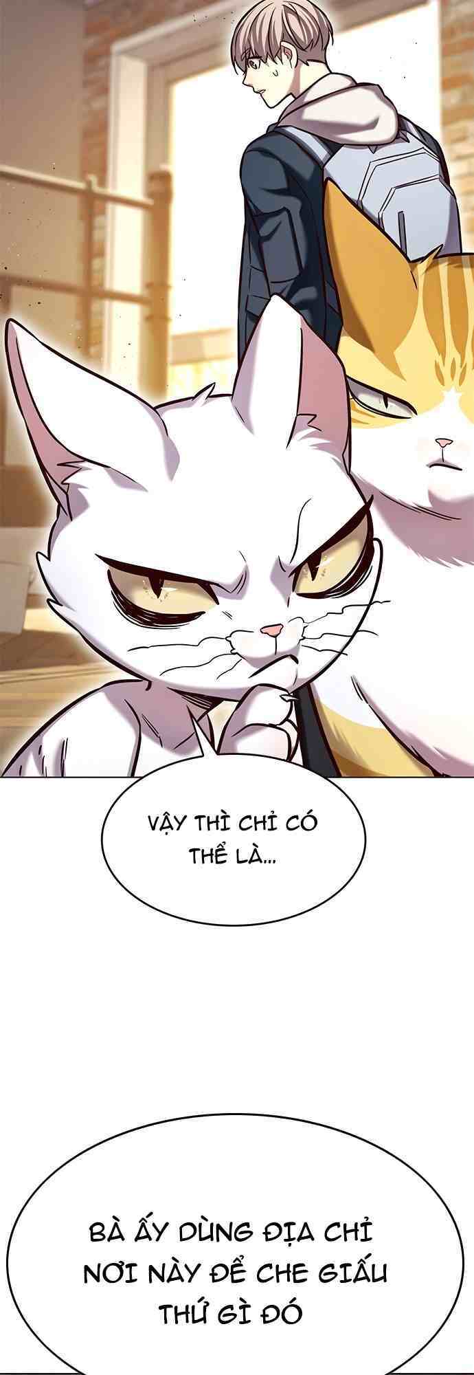 Hoá Thân Thành Mèo: Chapter 231
