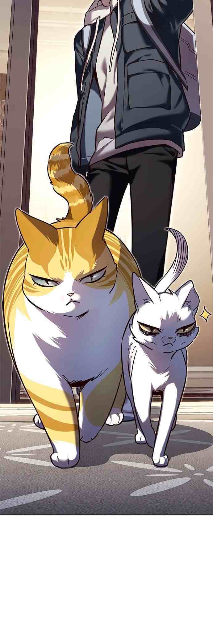 Hoá Thân Thành Mèo: Chapter 231