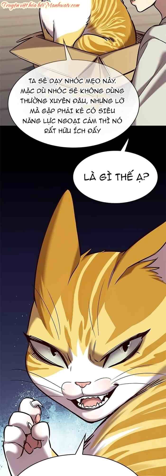 Hoá Thân Thành Mèo: Chapter 236