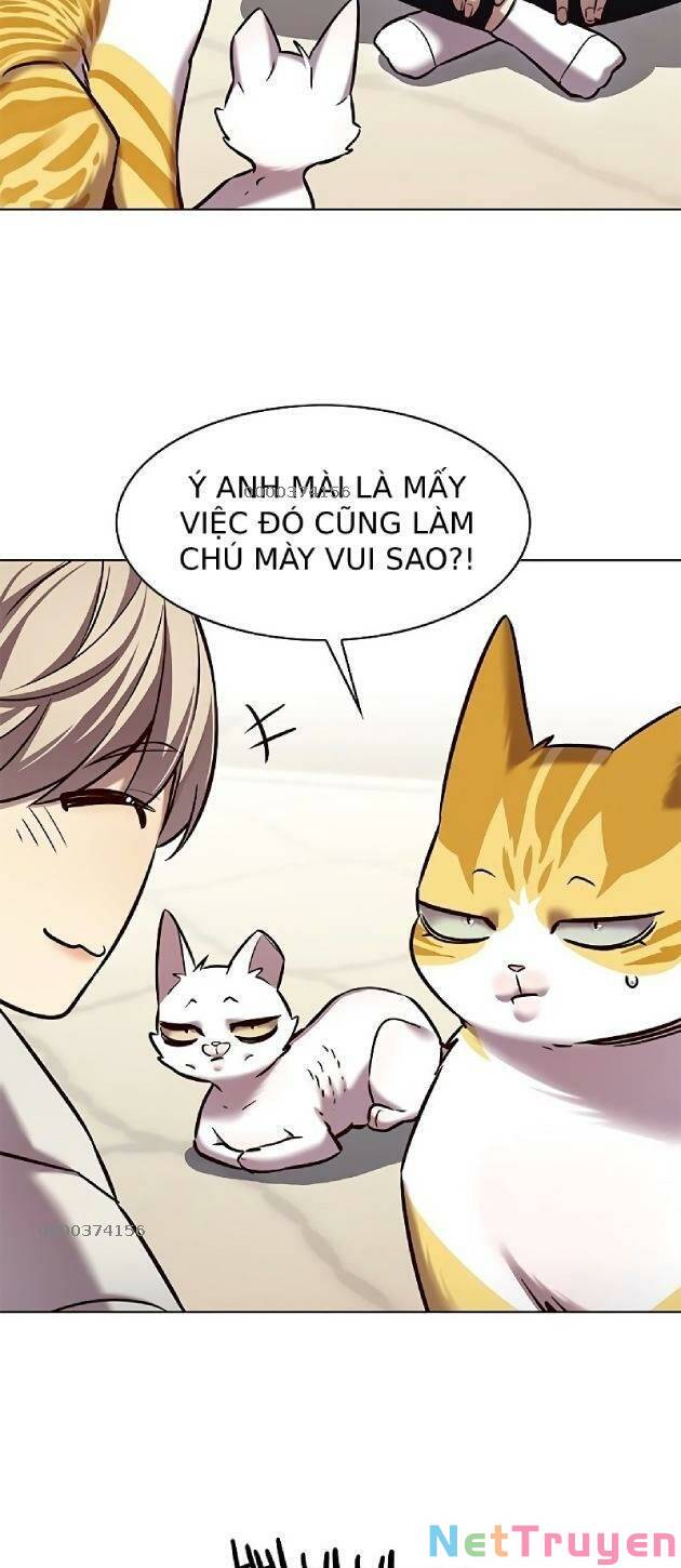 Hoá Thân Thành Mèo: Chapter 239