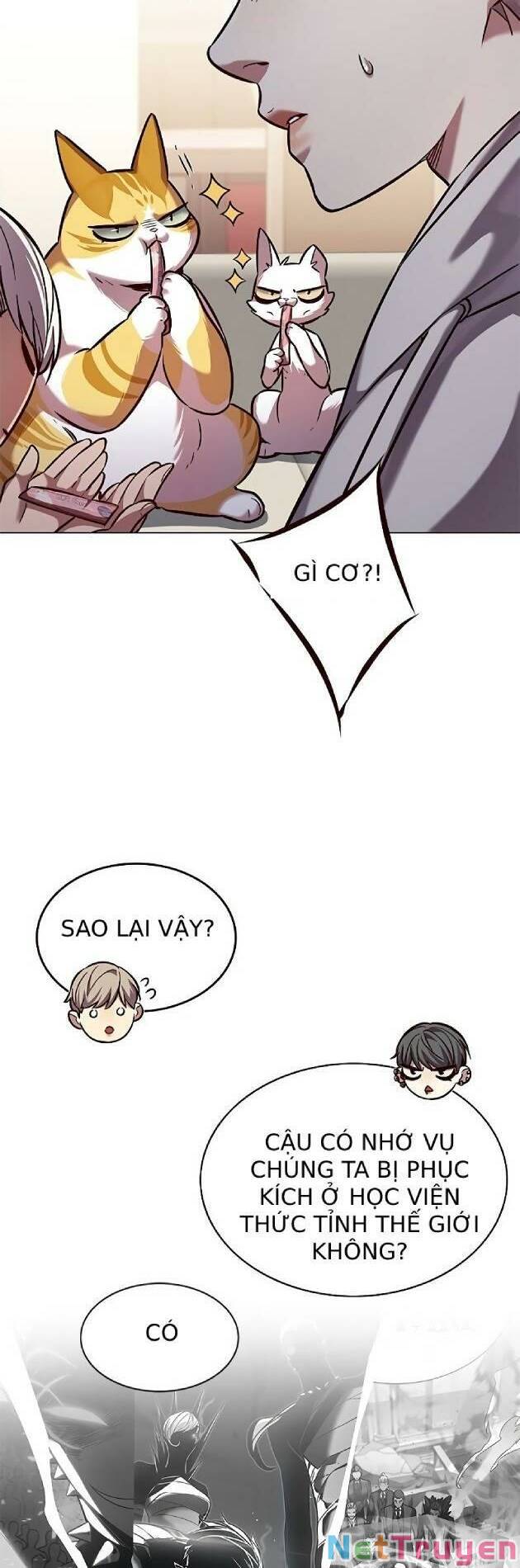 Hoá Thân Thành Mèo: Chapter 239