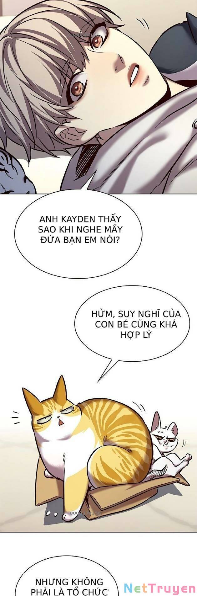 Hoá Thân Thành Mèo: Chapter 239