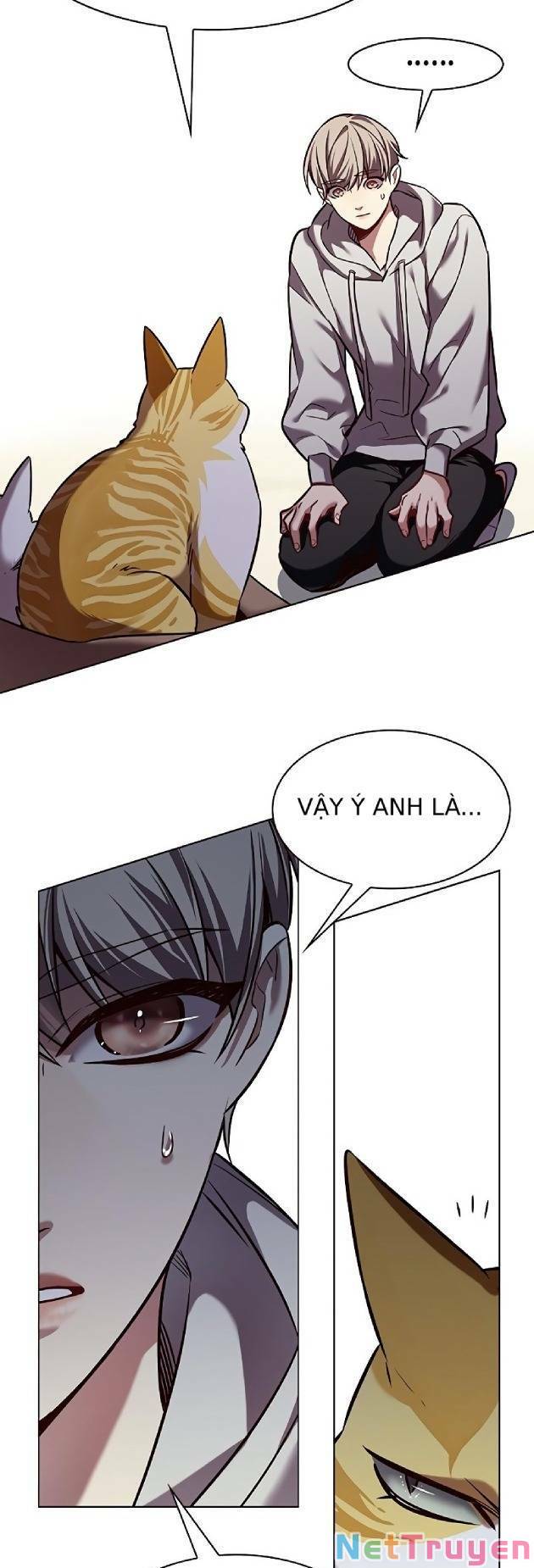 Hoá Thân Thành Mèo: Chapter 239
