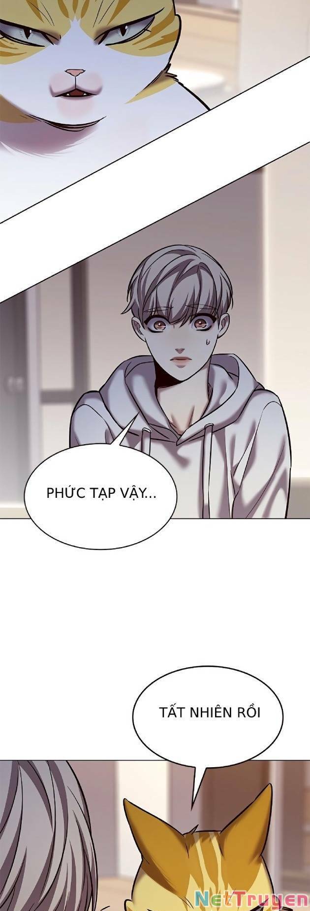 Hoá Thân Thành Mèo: Chapter 239