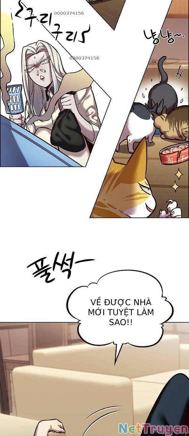 Hoá Thân Thành Mèo: Chapter 239