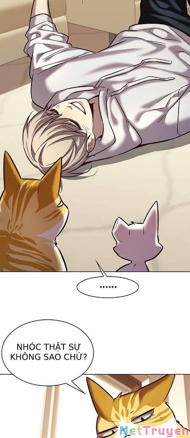 Hoá Thân Thành Mèo: Chapter 239