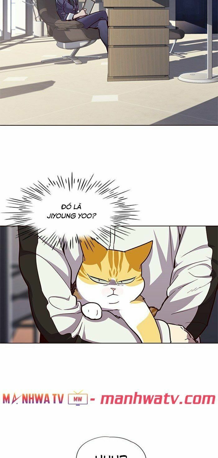 Hoá Thân Thành Mèo: Chapter 24
