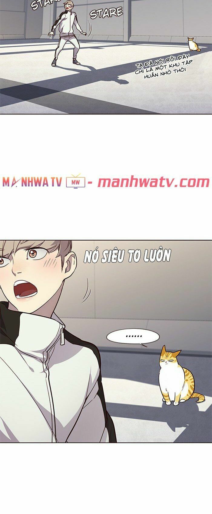 Hoá Thân Thành Mèo: Chapter 24