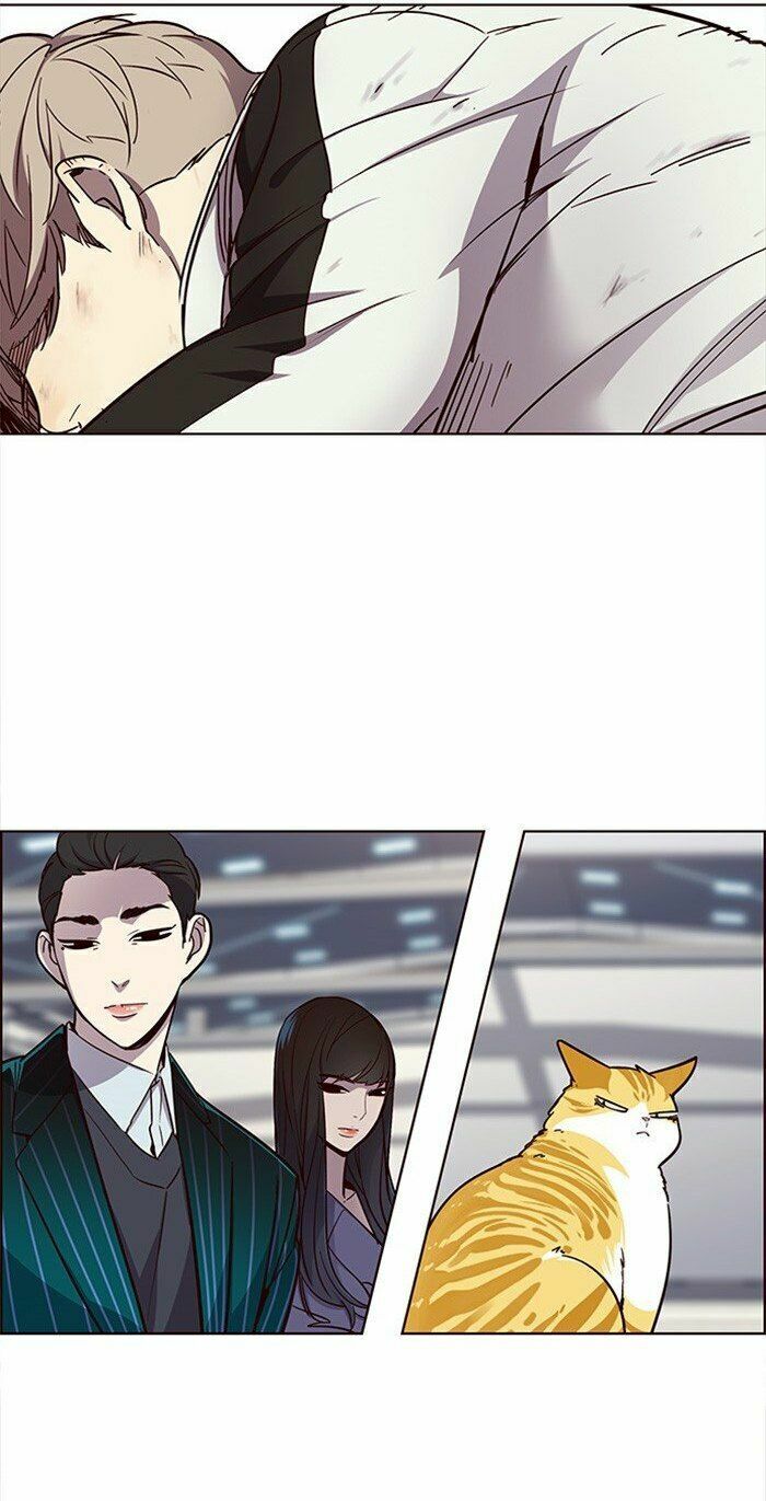 Hoá Thân Thành Mèo: Chapter 24