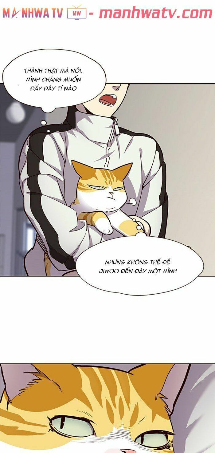 Hoá Thân Thành Mèo: Chapter 24