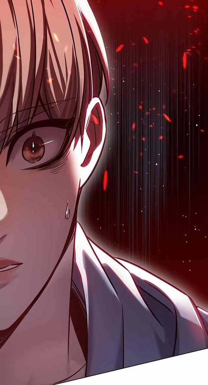 Hoá Thân Thành Mèo: Chapter 240